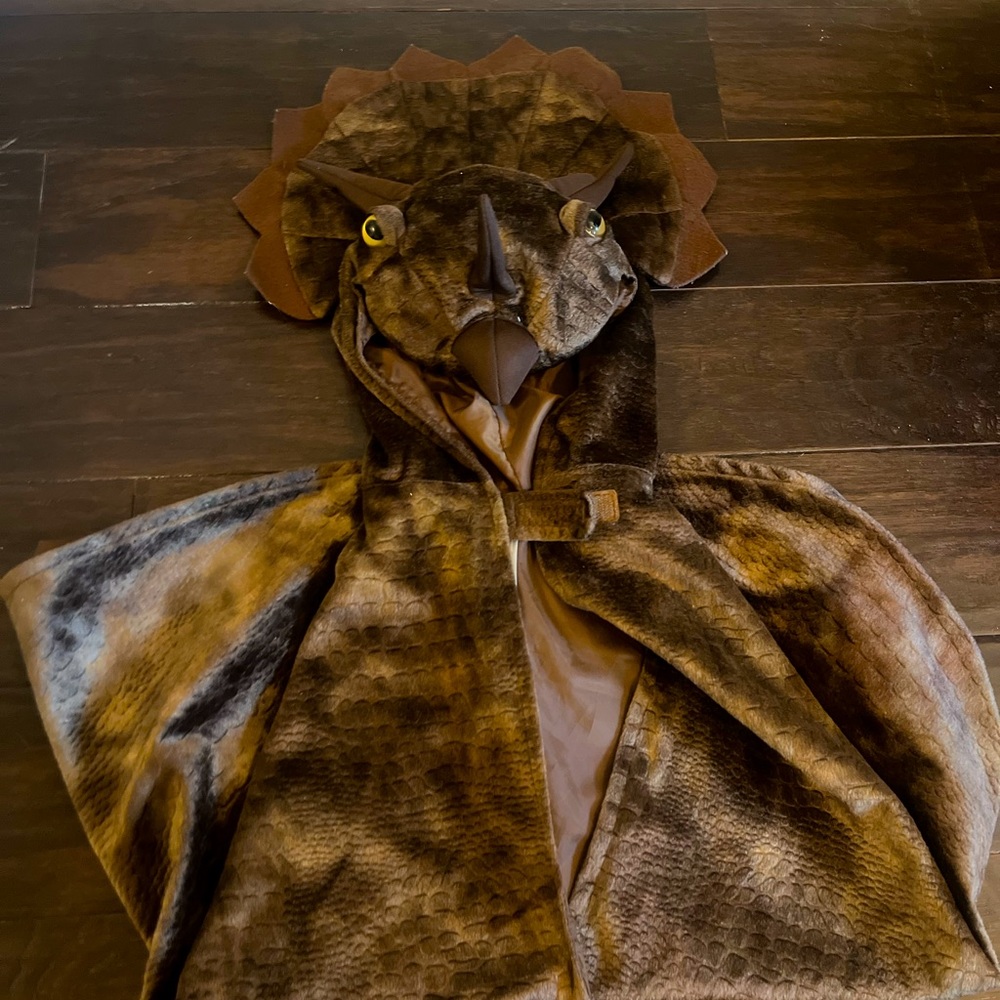 Boys Dinosaur Cape/Costume